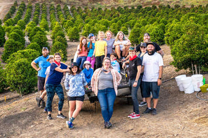 California coffee farm, tasting events, harvesting events, farm tours, agritourism, things to do in Ventura County, Unique Gifts, specialty coffee, luxury, farm events, fun things to do in Ventura County, Los Angeles County, Santa Barbara County